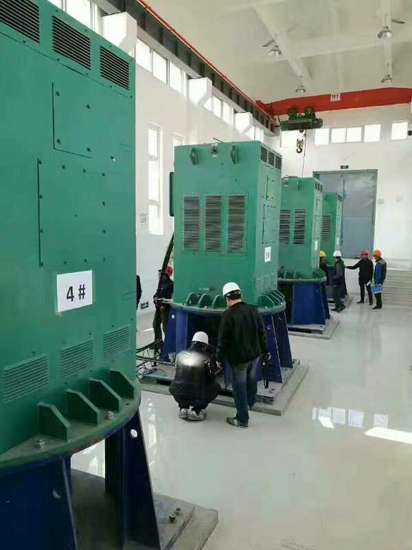 黎安镇某污水处理厂使用我厂的立式高压电机安装现场安装尺寸