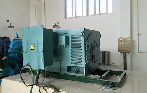 黎安镇某水电站工程主水泵使用我公司高压电机