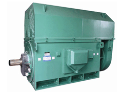 黎安镇Y系列6KV高压电机